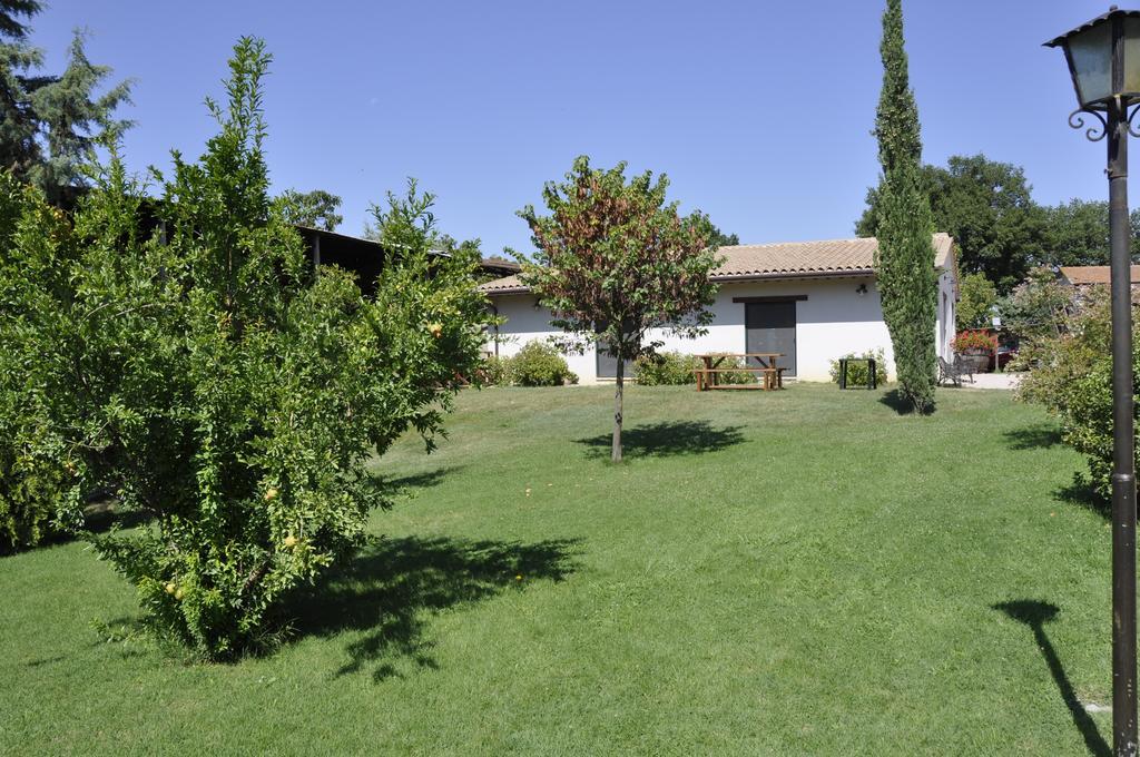 Villa Fattoria Di Rigone Coltavolino Zimmer foto